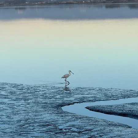 Refugio Dourado Villa *