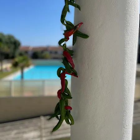 Refugio Dourado Villa Torreira