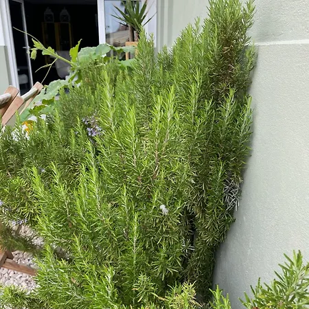 Refugio Dourado Villa