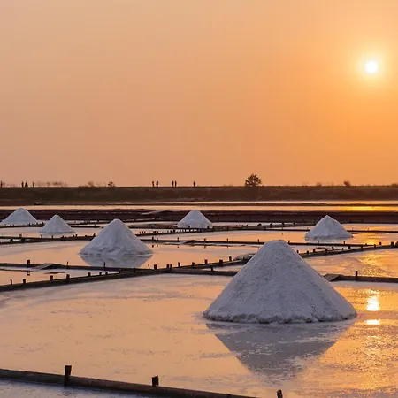 Refugio Dourado * Torreira