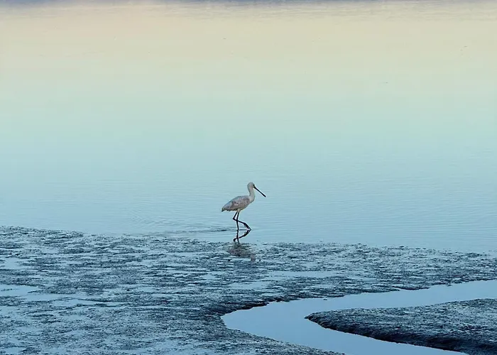 Refugio Dourado Villa *