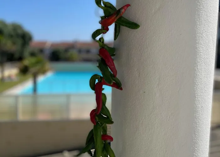 Refugio Dourado Villa Torreira