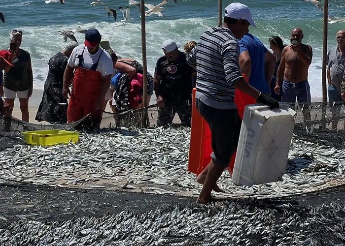 Villa Refugio Dourado *